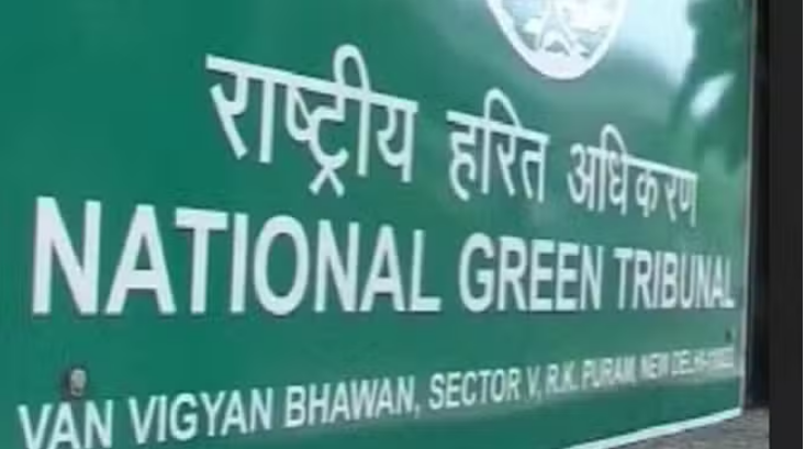 Photo of दिल्ली: निगम की आड़ में काटा नीम का पेड़… एनजीटी ने दिया कार्रवाई का आदेश