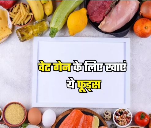 Photo of ये फूड्स तेजी से बढ़ाएंगे आपका वजन