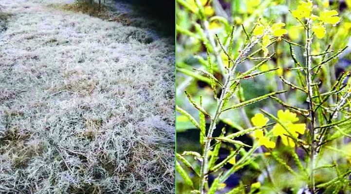 Photo of छत्तीसगढ़ के तीन संभागों में शीतलहर, मैनपाट में रात का पारा 1.2 डिग्री