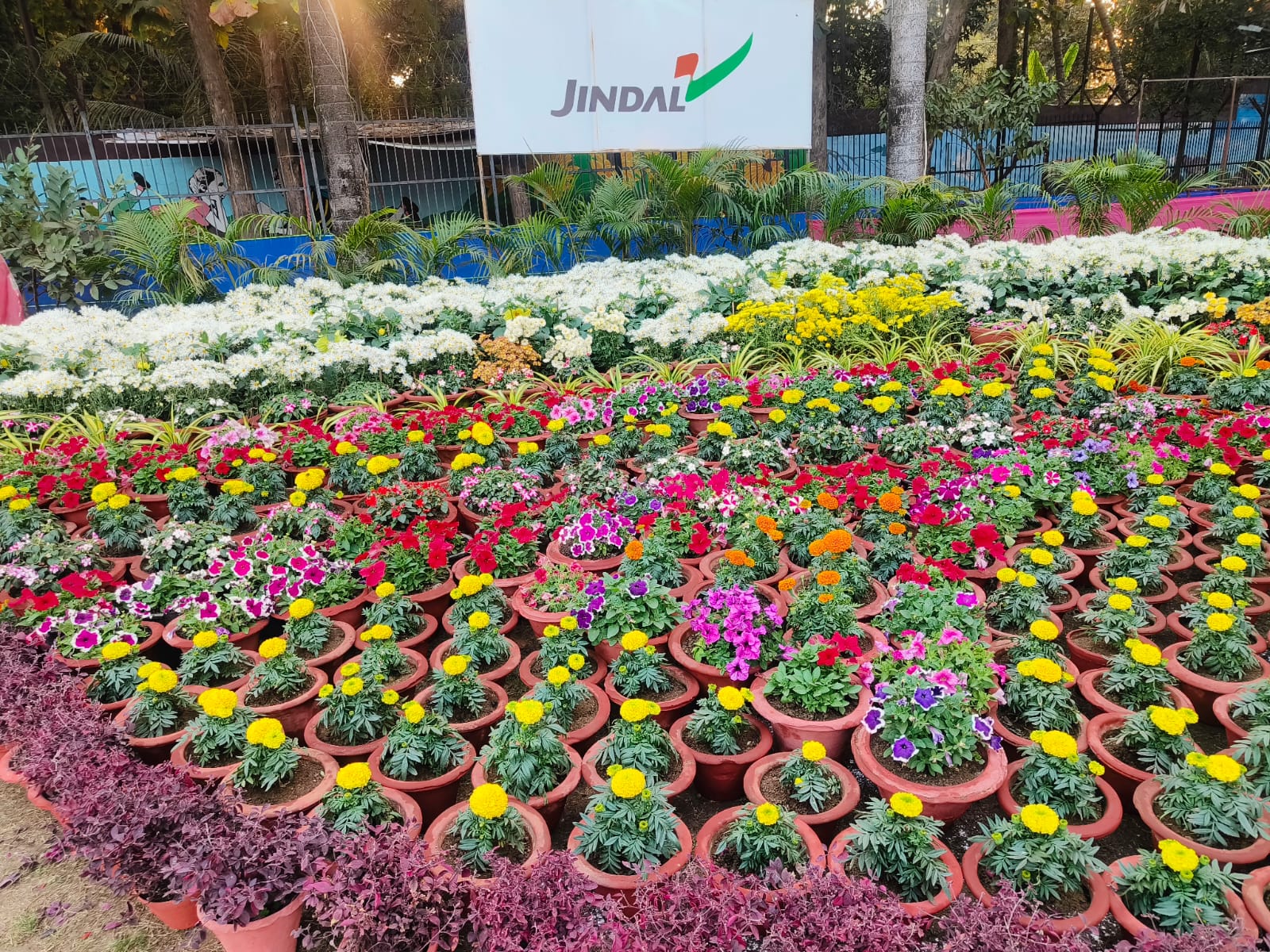 Photo of जिंदल एवं प्रकृति की ओर सोसाइटी की पुष्प,फल,सब्जी की प्रदर्शनी का शुभारंभ