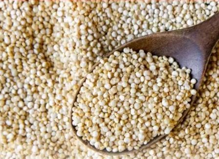 Photo of सेहत के लिए सुपरफूड से कम नहीं Quinoa