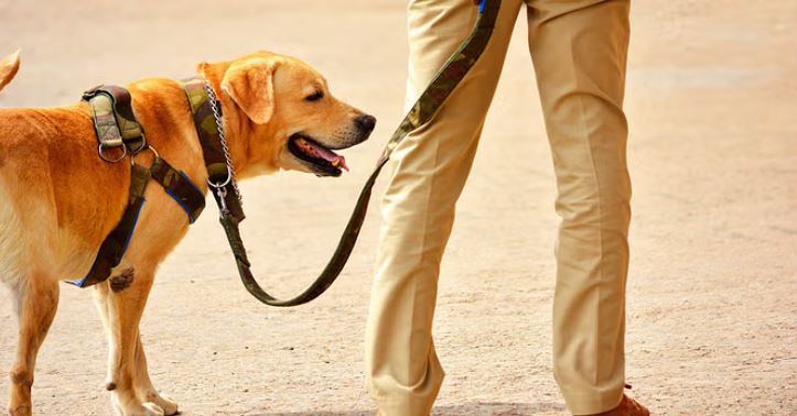 Photo of दिल्ली-एनसीआर के स्कूलों में एक बार फिर बम होने की सूचना, पुलिस ने शुरू की छानबीन