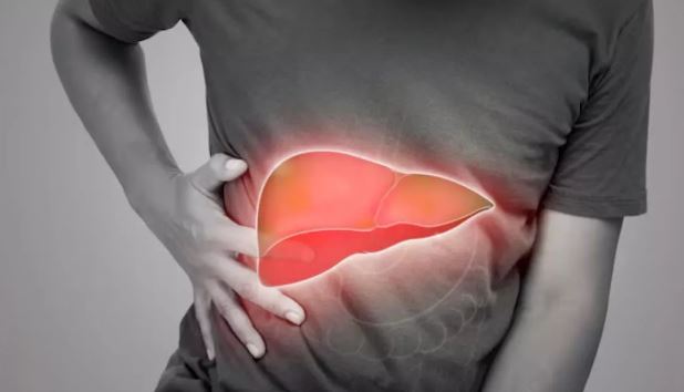 Photo of फैटी लिवर से छुटकारा दिलाएंगी ये जड़ी बूटियां