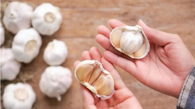 Photo of तभी कहते हैं रात को नहीं खाना चाहिए लहसुन, एक-दो नहीं बहुत हैं नुकसान