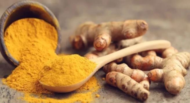 Photo of किसी अमृत से कम नहीं है कच्ची हल्दी