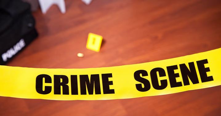 Photo of दिल्ली: भजनपुरा में बंदूक की छीना-झपटी में चली गोली, बेटे ने दम तोड़ा