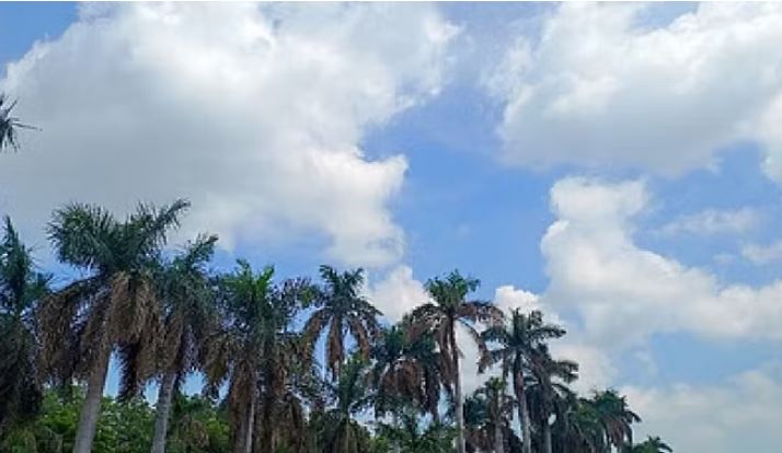 Photo of छत्तीसगढ़ में बदलेगा मौसम का मिजाज, आगामी चार दिनों तक बारिश की संभावना