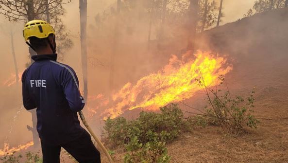 Photo of  वनाग्नि… मार्च भी खत्म होने का आया, अग्निरोधी सूट नहीं पहुंच पाया, प्रस्ताव पर फैसला होना बाकी