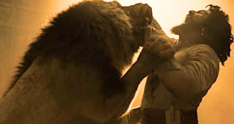 Photo of Sikandar के लिए भी मुश्किल है ‘छावा’ के इस रिकॉर्ड को तोड़ना, लिखा एक और इतिहास