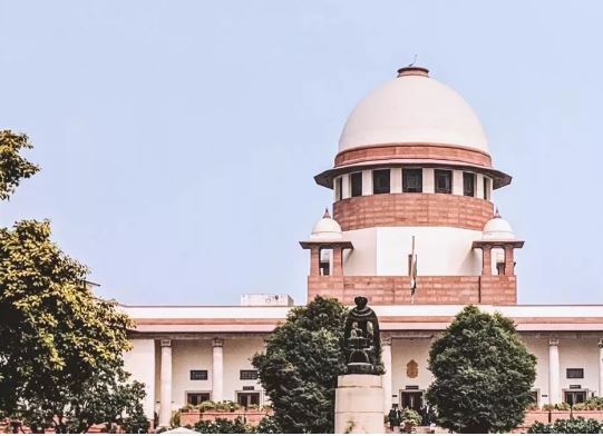 Photo of शख्स ने 454 पेड़ों को काटा, अब हर पेड़ के बदले देना होगा 1 लाख का जुर्माना