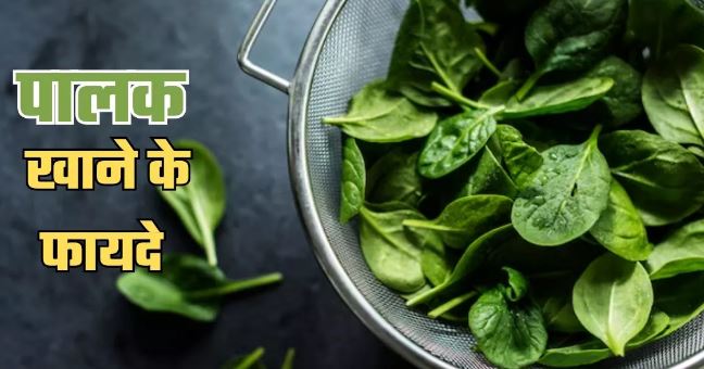 Photo of हैरान कर देंगे पालक खाने के 8 फायदे, लाेहे ज‍ितनी मजबूत हाे जाएंगी हड्ड‍ियां