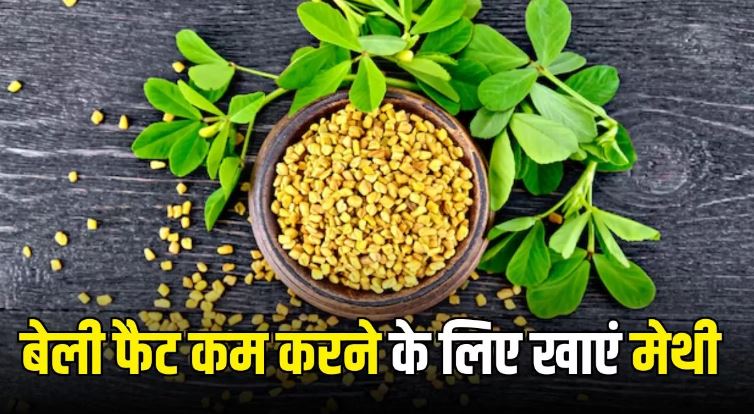 Photo of पेट की चर्बी को 20 दिनों में पिघला देगी मेथी