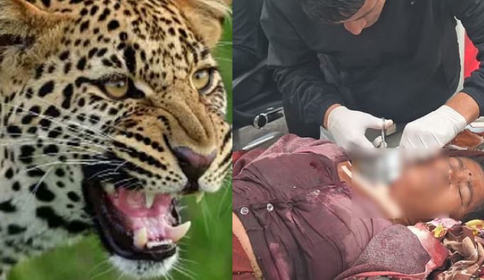 Photo of चमोली में शौच के लिए जा रही महिला पर गुलदार ने किया हमला, अस्पताल में भर्ती