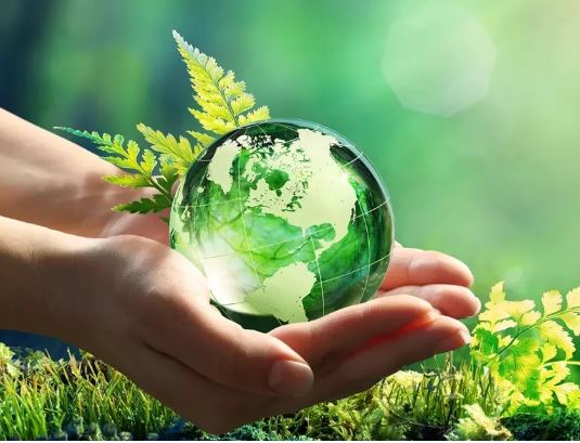 Photo of क्‍या आप जानते हैं ये छोटे बदलाव हो सकते हैं पर्यावरण को बचाने में बेहद मददगार