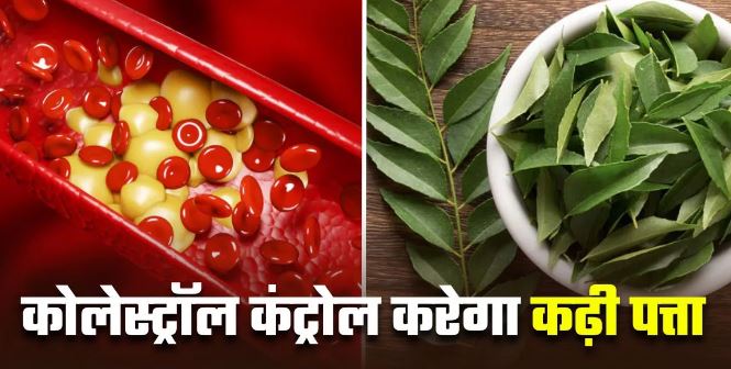 Photo of कोलेस्ट्रॉल घटाने में मदद करेगा कढ़ी पत्ता, नसों में जमा फैट होगा गायब