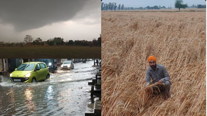 Photo of बरेली मंडल में बदला मौसम: आंधी, बारिश-ओलावृष्टि से फसलों को नुकसान