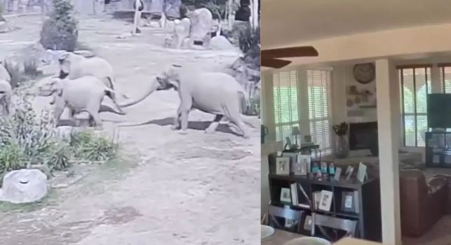 Photo of अमेरिका के कैलिफोर्निया में आया तेज भूकंप, पहाड़ से गिरने लगे पत्थर; दहशत में लोग