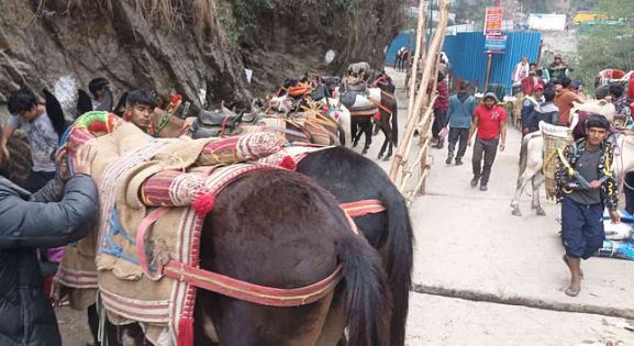 Photo of यात्रा में घोड़ा-खच्चर बीमार हुए तो होंगे क्वारंटीन, कोटमा और फाटा में स्थापित किए गए सेंटर