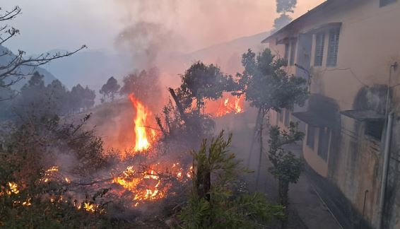 Photo of रौली क्षेत्र में ऑफिसर कॉलोनी तक पहुंची जंगल की आग, कर्मचारियों के परिवारों ने भागकर बचाई जान
