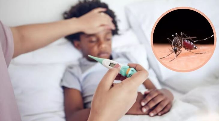 Photo of 5 तरह का हो सकता है मलेर‍िया बुखार, जान लें लक्षण; अनदेखा करना पड़ सकता है भारी