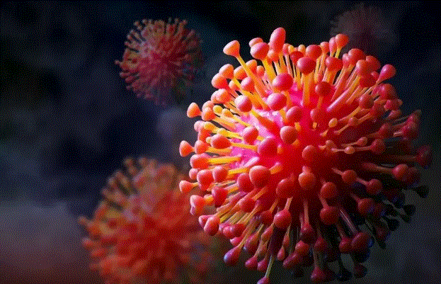 Photo of देश में तेजी से बढ़ रहे कोरोना के मामले, केरल में सबसे ज्यादा, महाराष्ट्र में 208 केस