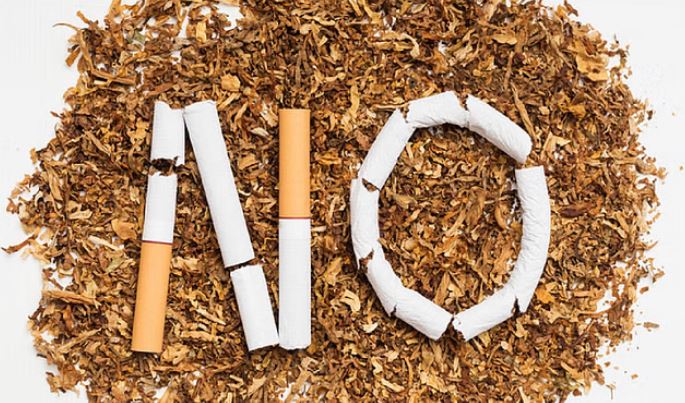 Photo of छत्तीसगढ़ के 19 हजार से ज्यादा शैक्षणिक संस्थान घोषित हुए तंबाकूमुक्त