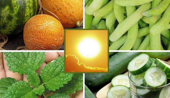 Photo of कितनी भी तेज हो धूप, गर्मियों में शरीर को अंदर से ठंडा रखेंगे ये फूड्स