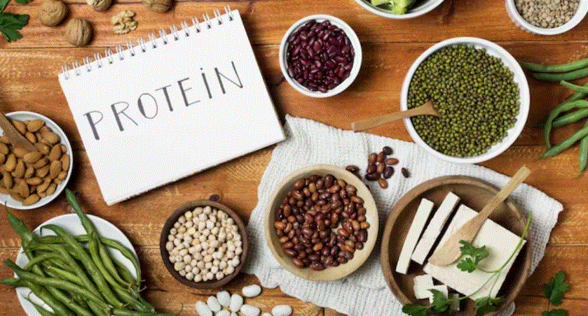 Photo of शाकाहारी लोगों के लिए बेस्ट हैं ये 5 Protein Rich Foods