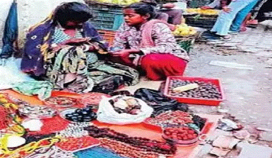 Photo of नकली कस्तूरी और शेर के पंजों के नाम पर ठगे जा रहे चारधाम यात्री, वन विभाग को है खबर… मगर