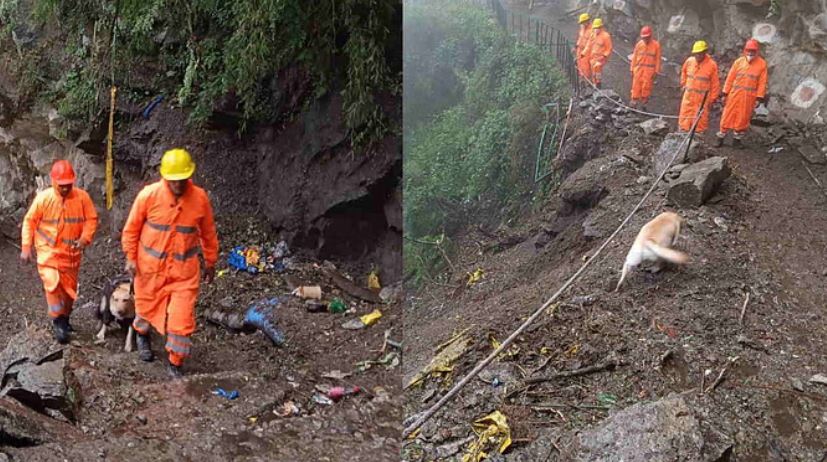 Photo of  यमुनोत्री पैदल मार्ग पर रेस्क्यू ऑपरेशन का आज तीसरा दिन, सुरक्षित स्थानों पर ठहराए गए यात्री