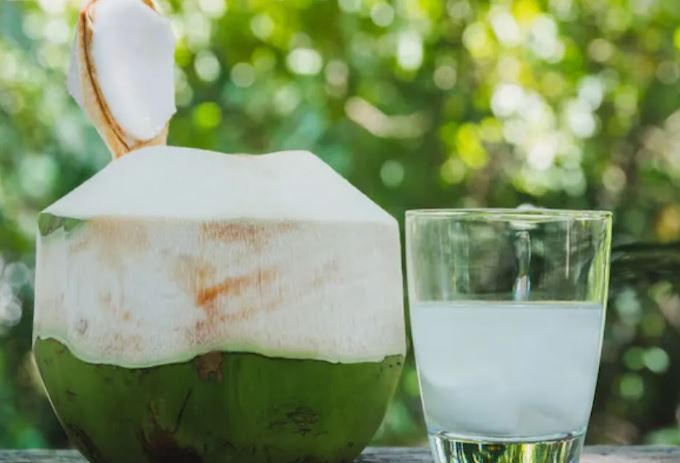 Photo of रोज पिएंगे एक नारियल पानी, तो शरीर में दिखेंगे 8 बदलाव