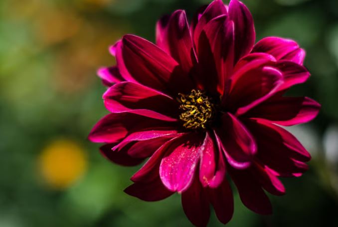 Photo of नजफगढ़ ड्रेन के पास अटल गार्डन बनेगा मनोरंजन का सामूहिक ठिकाना, परियोजना की प्रक्रिया शुरू