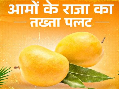 Photo of अल्फांसो नहीं रहा भारतीय आम का पोस्टर बॉय, यह आम बना अब विदेशियों की पहली पसंद