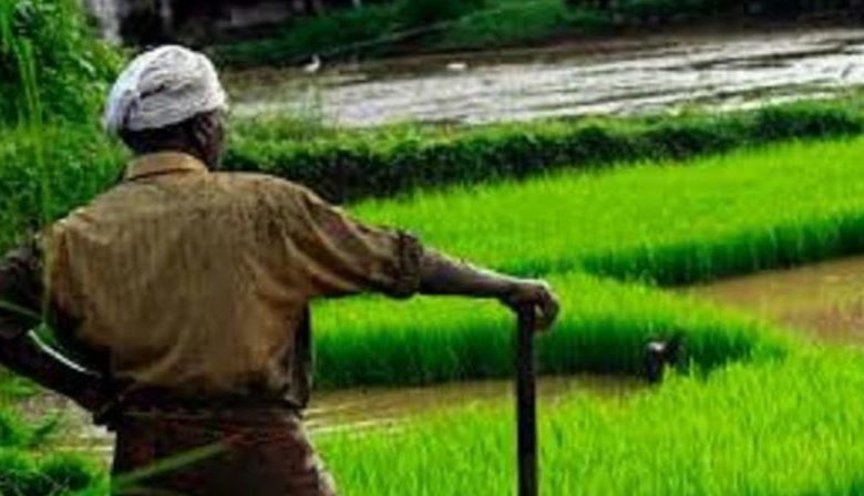 Photo of हरियाणा में इन किसानों को मिलेंगे 20 हजार रुपये, सरकार ने किया बड़ा ऐलान!