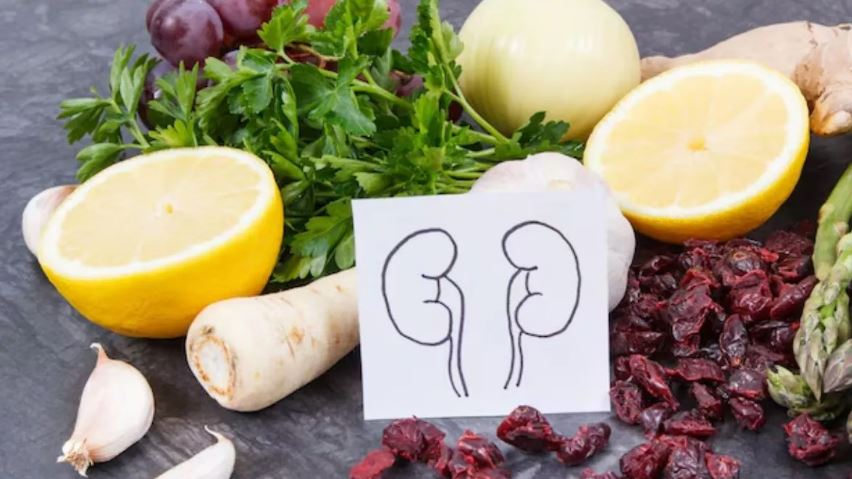 Photo of हेल्दी किडनी के लिए जरूरी हैं ये 5 फूड्स, कैंसर से भी करेंगे बचाव