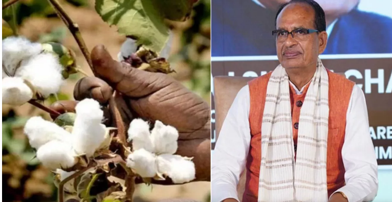 Photo of कपास संकट ने बढ़ाया कपड़ा उद्योग पर दबाव