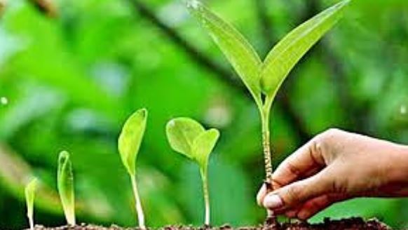 Photo of  हरेला पर प्रदेश में रिकॉर्ड बनाने की तैयारी, एक दिन में लगाए जाएंगे पांच लाख पौधे