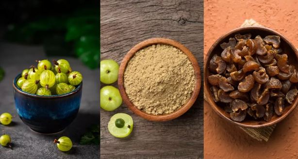 Photo of कच्चा, पाउडर या फ‍िर सूखा आंवला: सेहत के लिए क्या है सबसे बेहतर? 