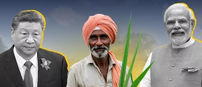 Photo of भारतीय किसानों को झटका देने चला था चीन, लेकिन भारत ने कर दिया चित
