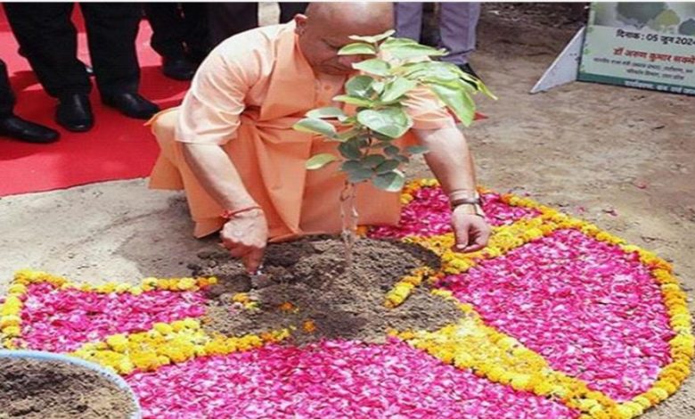 Photo of पौधरोपण महाभियान 2025; आज यूपी बनायेगा नया कीर्तिमान