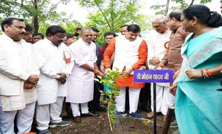 Photo of भोपाल मानव संग्रहालय में 4 हजार पौधे रोपे गए, सीएम मोहन बोले- ‘जहां गलतियां हुईं, वहां दोबारा पौधारोपण जरूरी’