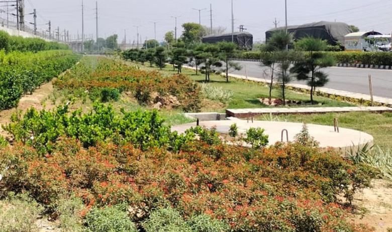 Photo of दिल्ली: नमो भारत कॉरिडोर पर बारिश का पानी जमा करने के लिए 900 पिट्स तैयार