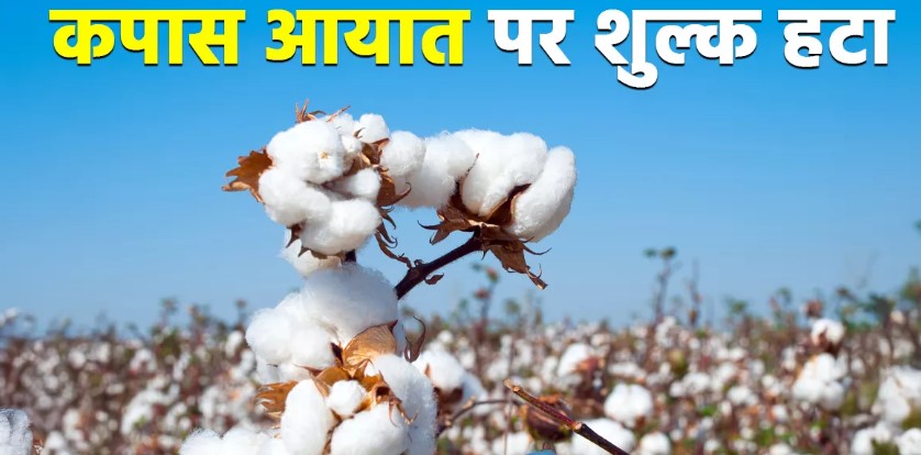 Photo of कपास पर सितंबर तक इंपोर्ट ड्यूटी से छूट, गारमेंट इंडस्ट्री को फायदा लेकिन किसानों को हो सकता है नुकसान