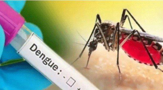 Photo of तेज बारिश के बाद बढ़ जाता है डेंगू-मलेरिया का खतरा