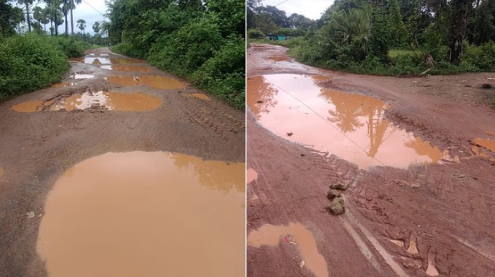 Photo of छत्तीसगढ़:  गड्ढों और झाड़ियों में समाई 60 लाख की सड़क