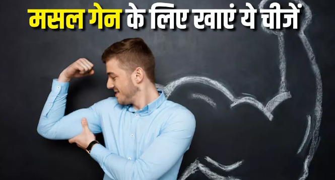 Photo of मसल्स बिल्डिंग के लिए खाना शुरू कर दें प्रोटीन से भरपूर ये 5 फूड्स