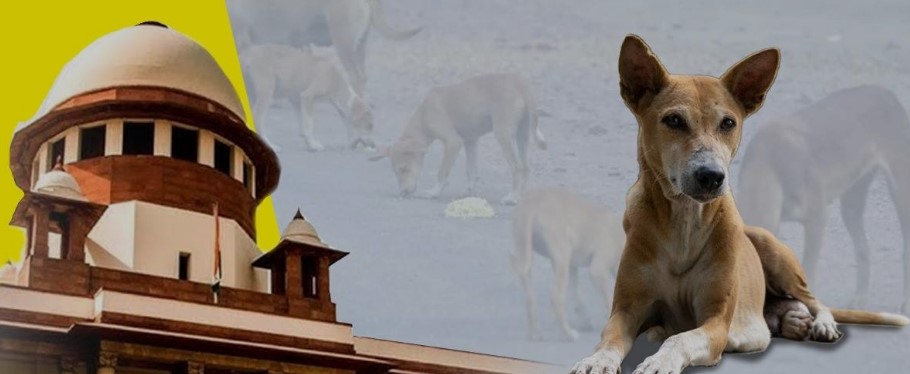 Photo of आवारा कुत्तों के मामले में सुप्रीम कोर्ट ने फैसला सुरक्षित रखा