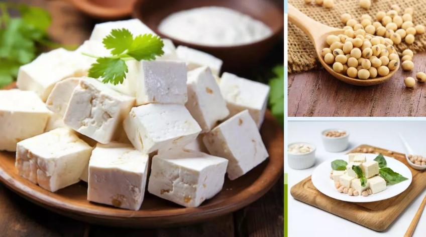 Photo of क‍िसमें होता है सबसे ज्‍यादा प्रोटीन, वेट लॉस के ल‍िए कौन है बेहतर