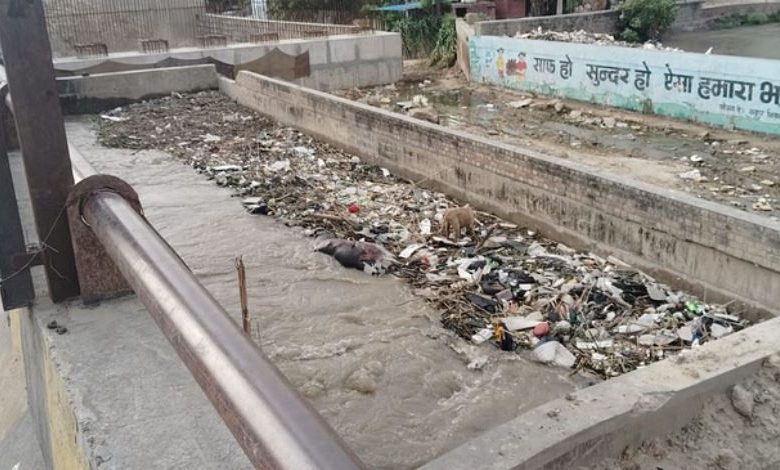 Photo of दिल्ली: एमसीडी का कूड़े से आजादी और स्वच्छता अभियान आज से…