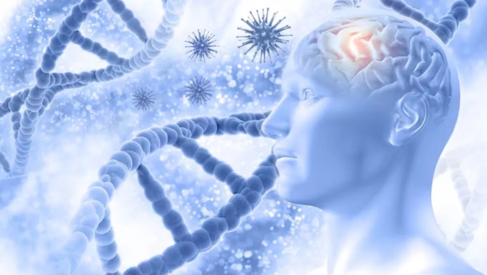 Photo of ज्यादा ‘काम’ करने से मर जाते हैं दिमागी सेल्‍स